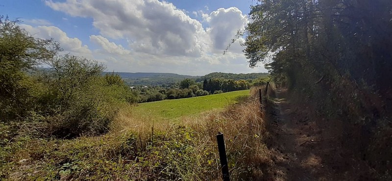 118799484_609222259770675_8360662590794952701_n