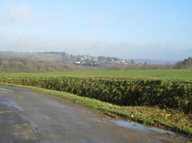 Comment1773-4426-0_800_800