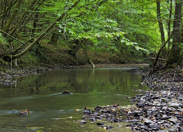 3. La Vallée de l'Hermeton Fraicheur-Drèze Richard_(c)OTH