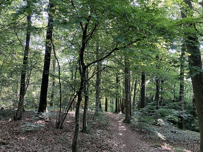 17. Le Paradis des chevaux (1)