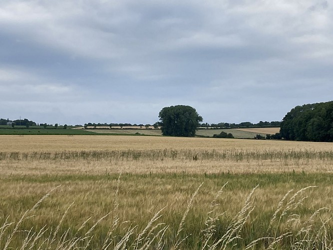 17. Le Paradis des chevaux (2)