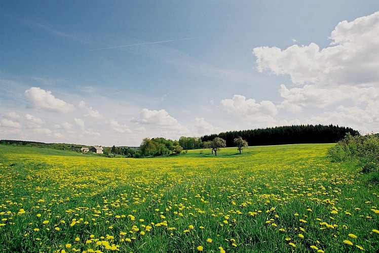 MAREDRETvillage - Copie