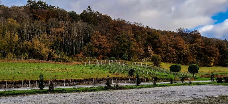 Anhée fermes du plateau 12 ou Meuse et Molignée