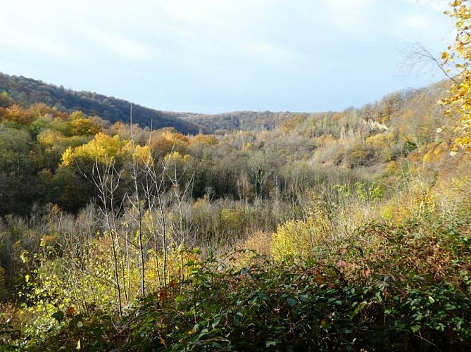 Durnal Vallée du Bocq