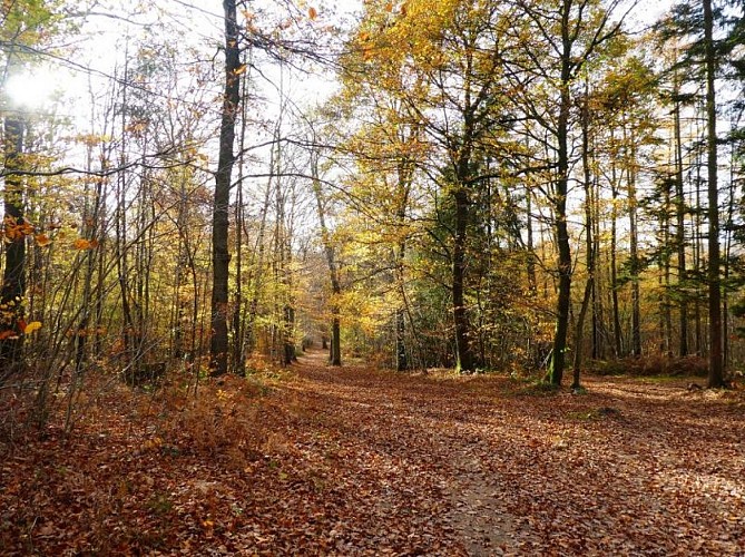 Durnal Vallée du Bocq 3