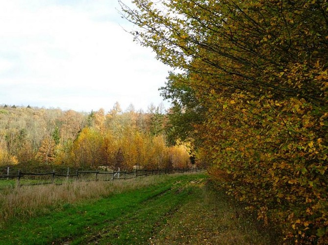 Durnal Vallée du Bocq 4