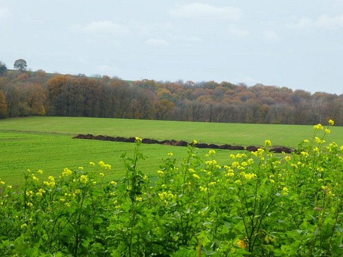 Durnal Vallée du Bocq 7