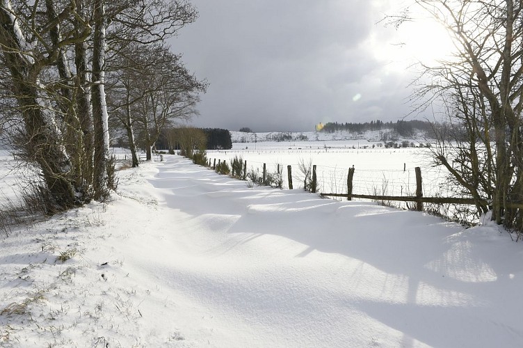 LierneuxHiver©ChristianDeblanc2019-6059a