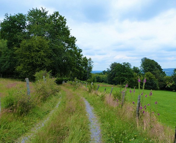 Banneux llierneux (2)