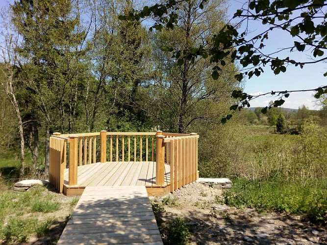 Balade prés de la lienne (5)