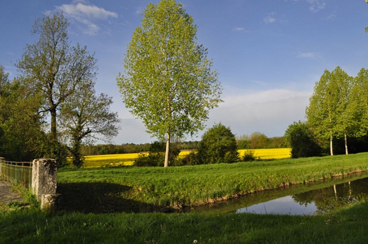 Entre Berry et Sologne