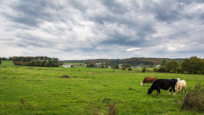 Lischert près du moulin