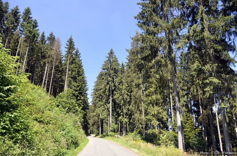 Nothomb_Route vers Parette_P Willems_FTLB (1)