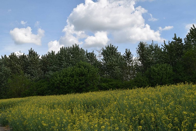 Promenade Udange - Arlon Tourisme - 1920-1280