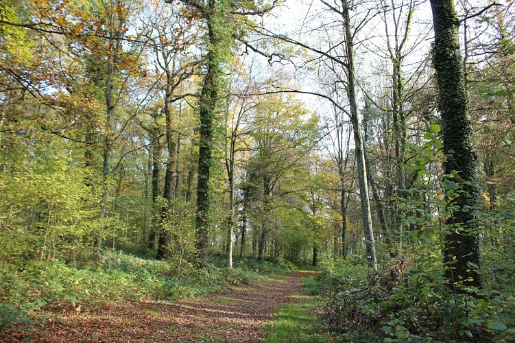 Promenade Joli-Bois Athus - Arlon Tourisme - 1920-1280