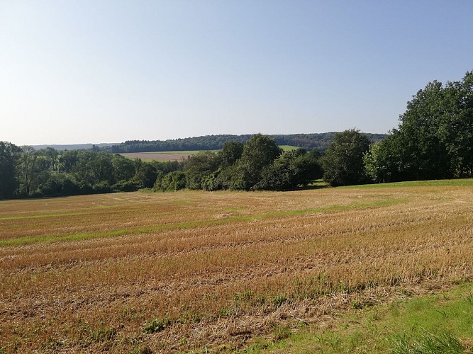 Balade de Mozet et château de Goyet