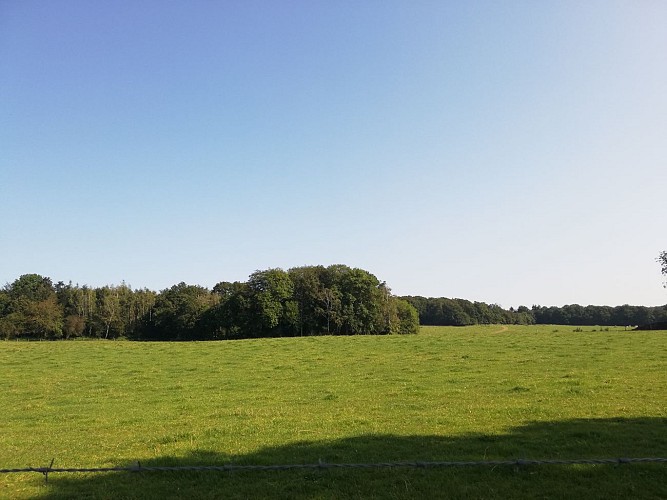 Balade de Mozet et château de Goyet