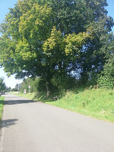 Balade de Mozet et château de Goyet