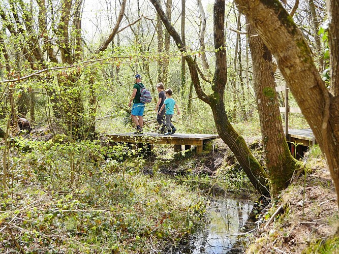 A pied - La tourbière des Cent vergées