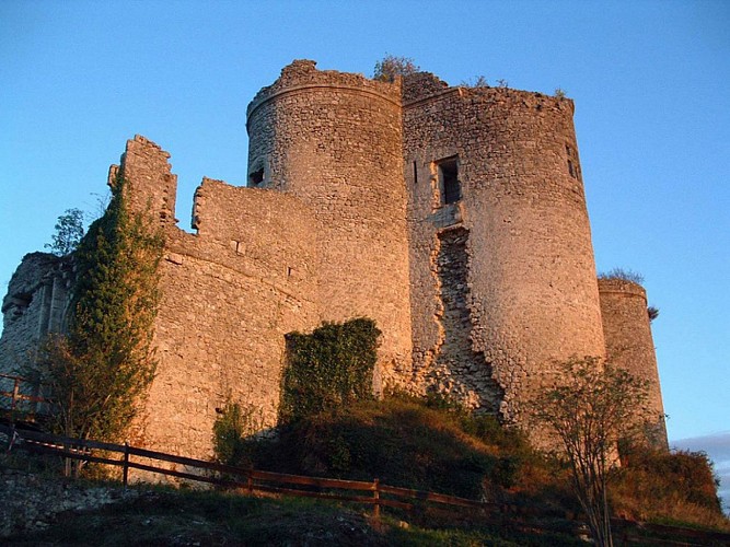 Château fort de Montaigu-le-Blin