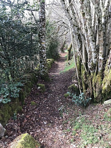 Rochers de Servières