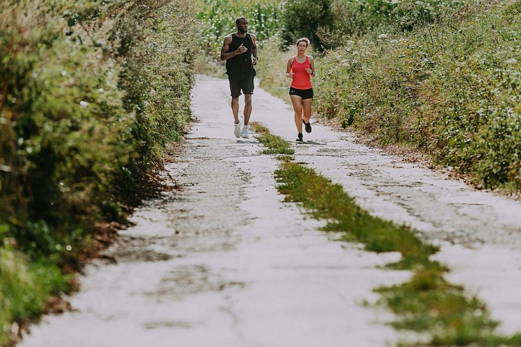 Balade à Pont-à-Celles d’Obaix à Rosseignies