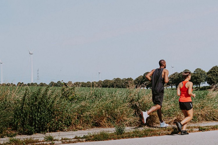 Balade à Pont-à-Celles d’Obaix à Rosseignies