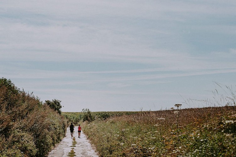 Balade à Pont-à-Celles d’Obaix à Rosseignies