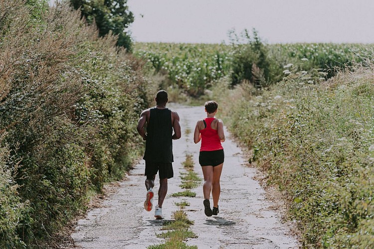 Balade à Pont-à-Celles d’Obaix à Rosseignies