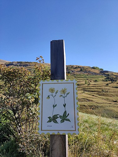 Il percorso del postino_La Grave