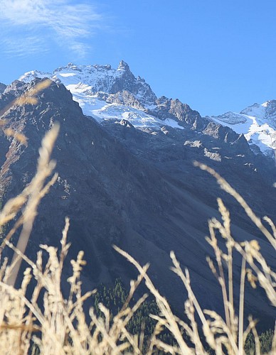 L'Aiguillon from Les Hières_La Grave