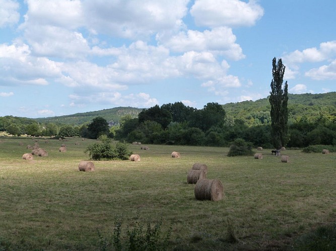 PNA_paysage_Vallée Vézère (183)