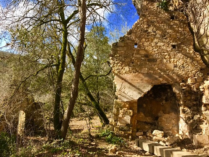 Site Troglo forêt de Campagne©A.Borderie (1)