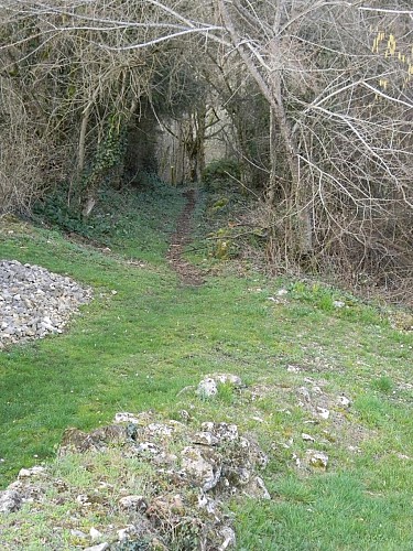 chemin de rando-Savignac de miremont©ALR