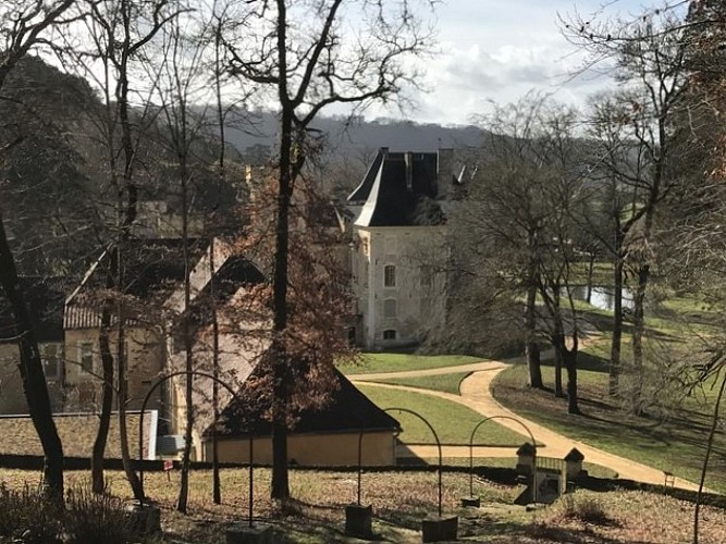 Forêt dép. de Campagne en hiver - evue château ©A (10)