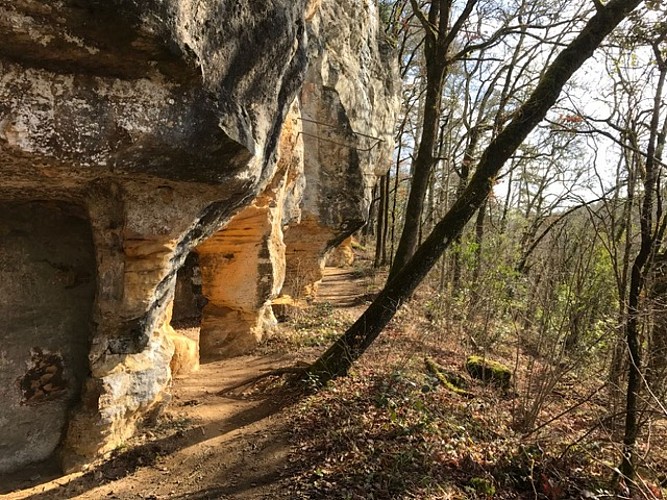 Site Troglo forêt de Campagne©A.Borderie (10)