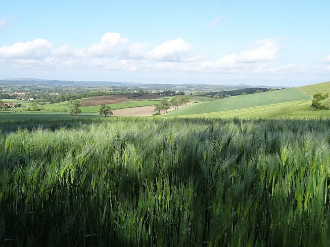 La Chapelle Saint Louis