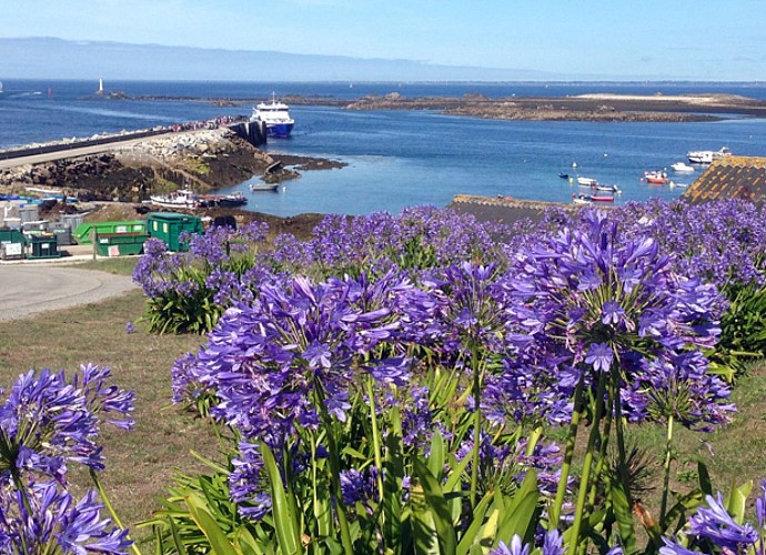 L'île de Molène - OFFICIEL