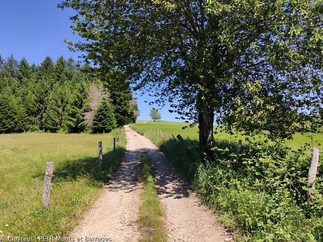 Sur le chemin du Léry