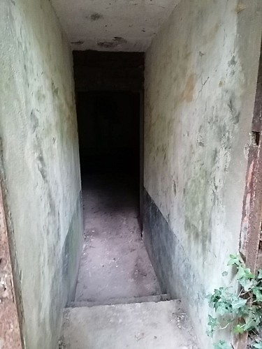 Les blockhaus de la foret de Mormal