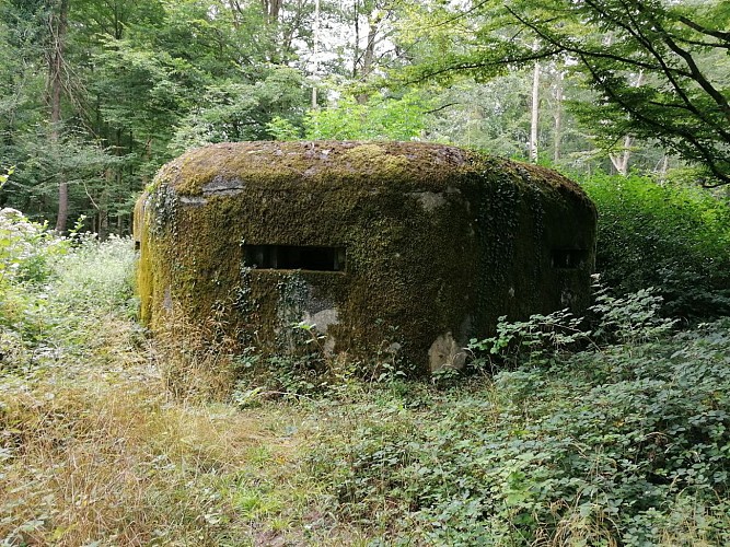 Les blockhaus de la foret de Mormal