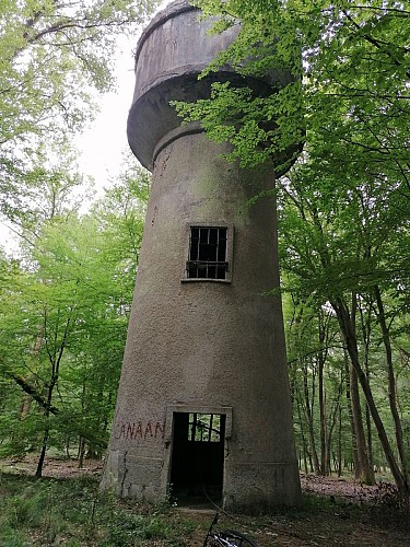 Les blockhaus de la foret de Mormal