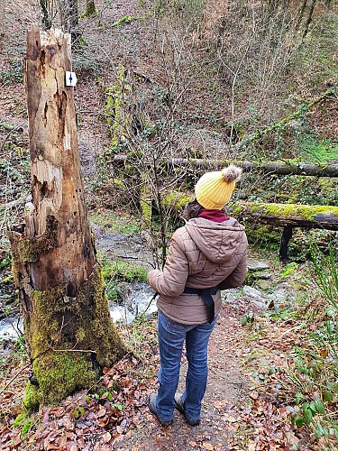 Prom Ruisseau Aleines balise personnage personnage mars 20 A Villeval