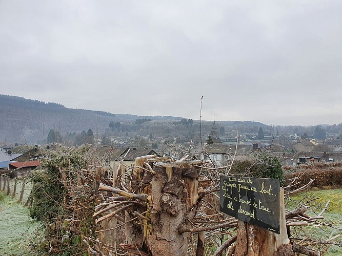 Alle prom Jeune Bois janv 21 hiver A Villeval (3)