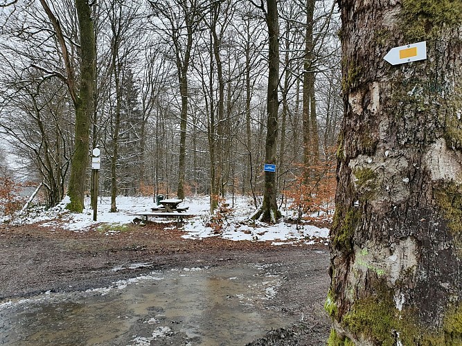 Alle prom pique à gacuhe route en venant Alle janv 21 hiver A Villeval (23)