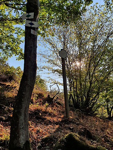 Alle prom 6 balises sept 20 AV (1)