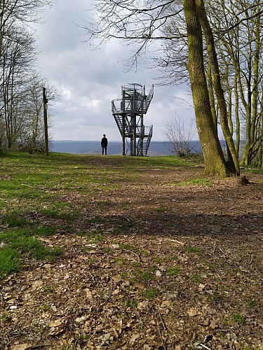 Vresse_Membre_ Promenade Roche Saloru (5)