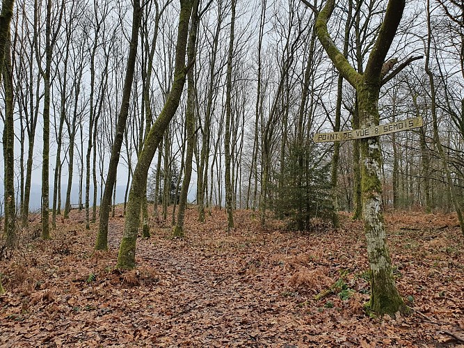 Bohan hiver prom 8 semois A Villeval (11)