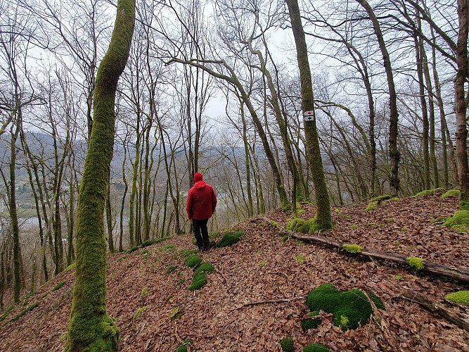 Bohan hiver prom 8 semois A Villeval (17)