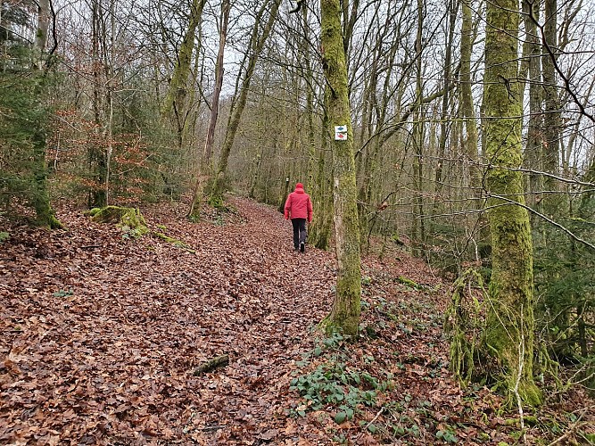 Bohan hiver prom 8 semois A Villeval (5)